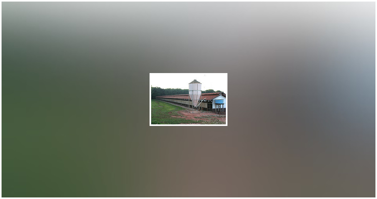 Una granja valenciana aprovecha los excrementos de vaca para generar biogás y electricidad