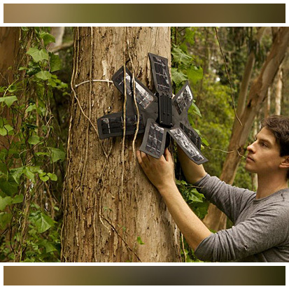 Cómo los móviles obsoletos ayudan a salvar los bosques tropicales