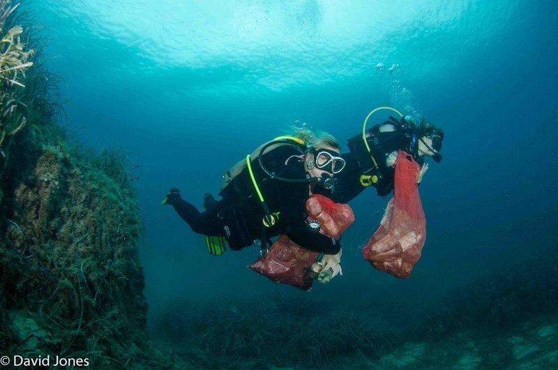 Residuos marinos: Nueva Zelanda prohibirá las microesferas de plástico