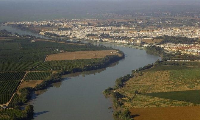 La CHG abre procedimientos sancionadores a almazaras por vertidos de residuos