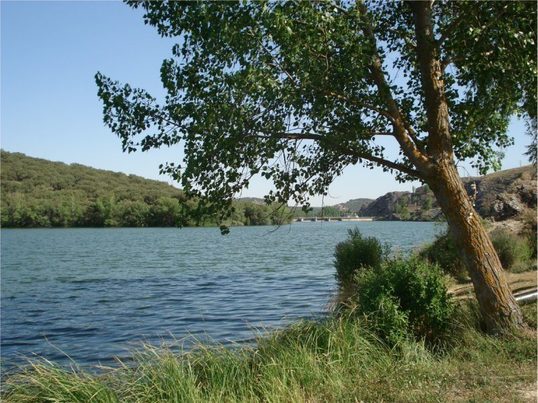 Indicios de un vertido contaminante en el embalse de Los Rábanos