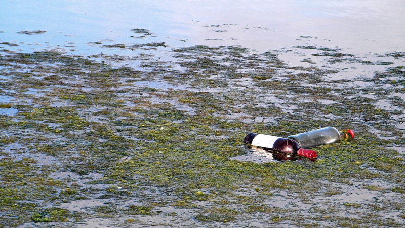 Proposición No de Ley para acabar con el abandono de envases de bebidas