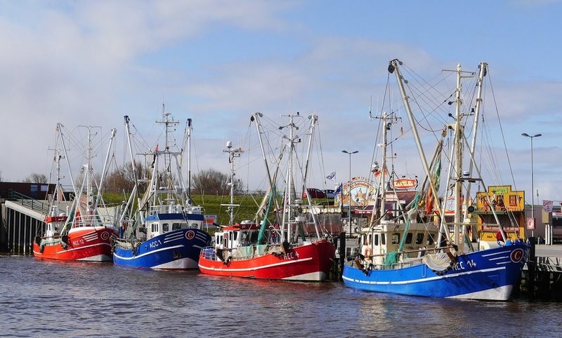 Proyecto BIOCOS, revalorización de residuos de la industria del mar