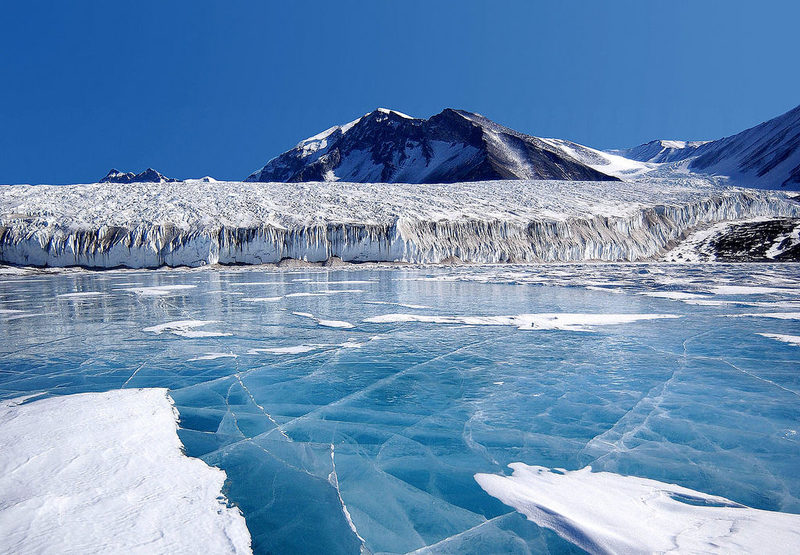 El impacto humano en la península antártica a partir de la presencia de contaminantes emergentes