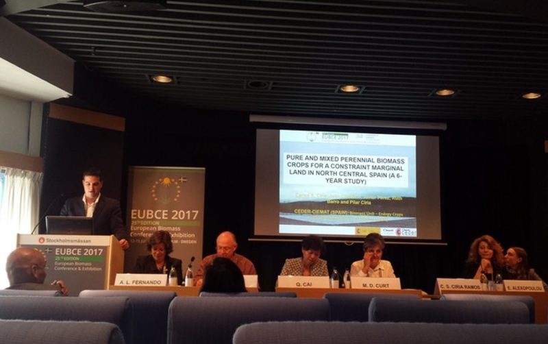 Investigadores del CEDER-CIEMAT participaron en la Conferencia Europea de Biomasa celebrada en Estocolmo