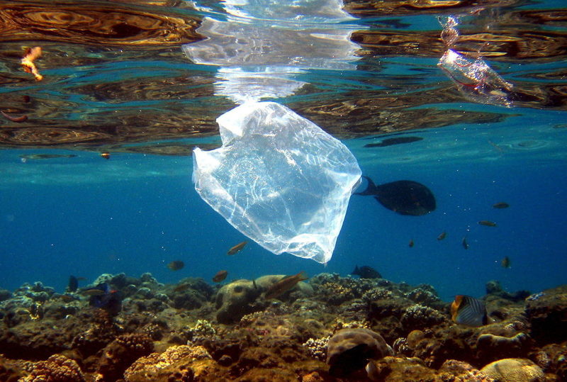 El Parlamento balear aprueba una declaración para la reducción de las bolsas de plástico de un solo uso