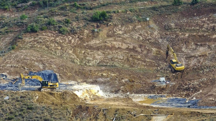 Las lombrices podrían ayudar a la descontaminación se suelos afectados por lindano