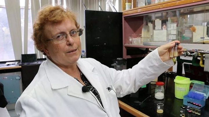 Desarrollan una enzima que degrada PET en quince días 