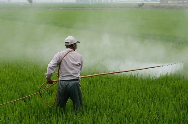 La OMS pide prohibir los plaguicidas más tóxicos para las personas