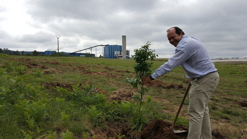 Sogama culmina la revegetación de su complejo industrial