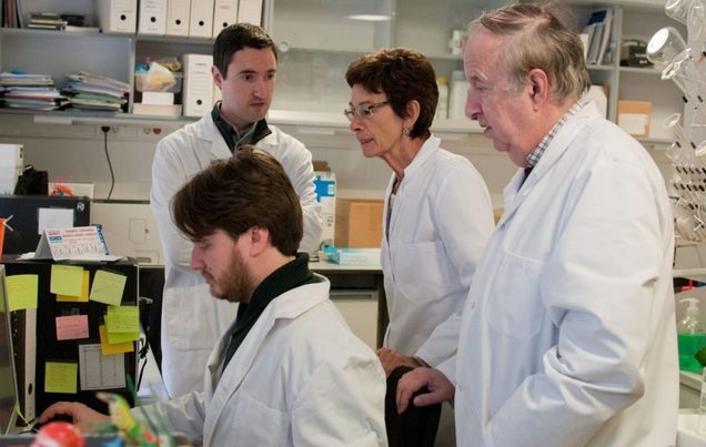 Un estudio alerta de la concentración de dioxinas en el entorno de la incineradora del Besòs