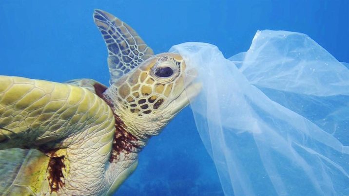 Ercros presenta un bioplástico que se degrada con el agua