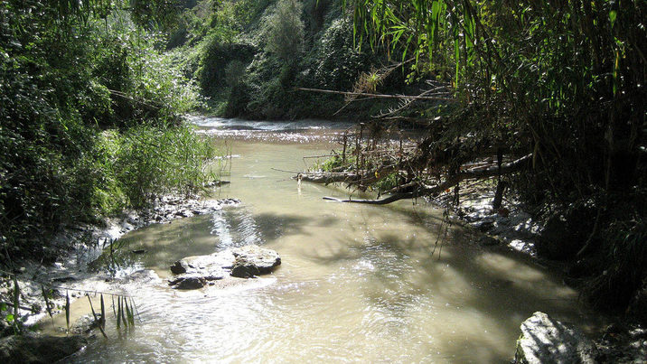 Detectan elevados niveles de retardantes de llama en peces de río