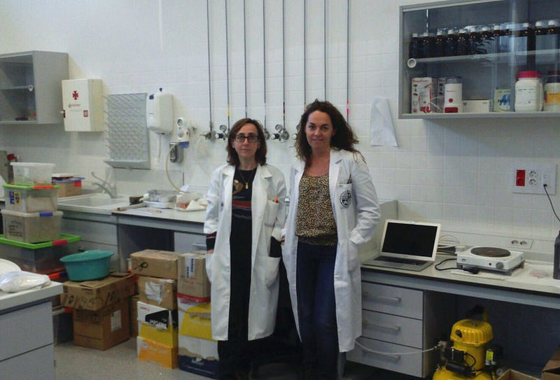 Investigadoras de la Universidad de Jaén patentan un sustrato de arcilla expandida obtenida de residuos