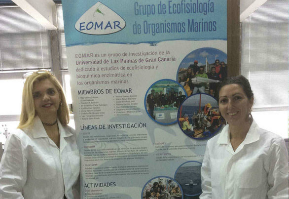 Una investigación de la ULPGC alerta sobre la contaminación por microplásticos en Canarias