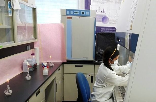 Estudian los riesgos para la salud del DEHP