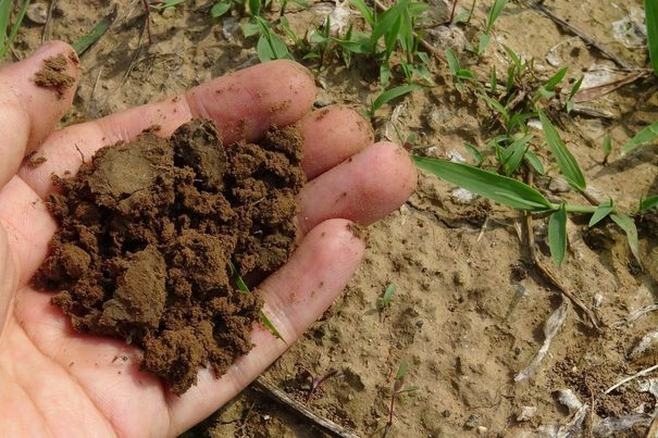 Ya hay más de 10.000 hogares asturianos que fabrican compost