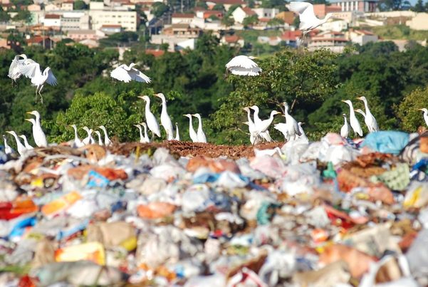 Un proyecto para transformar el mayor vertedero de Senegal en planta de reciclaje