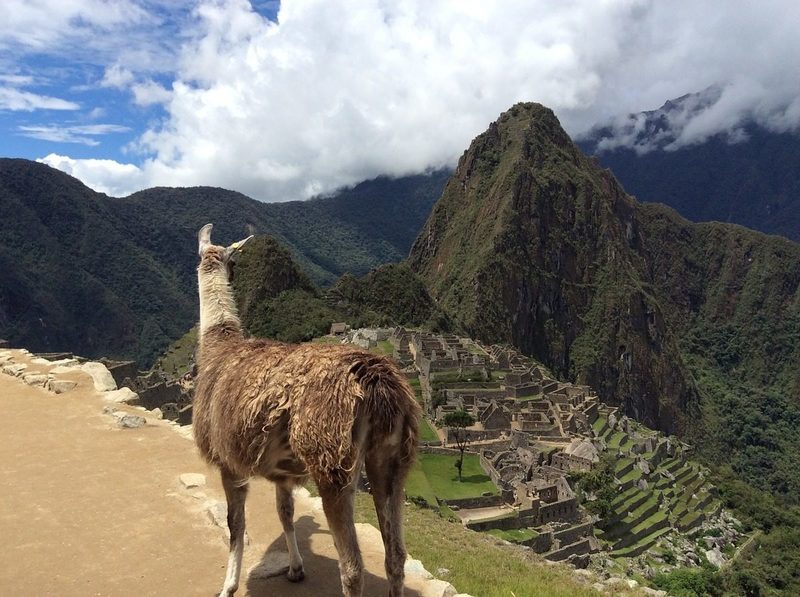 El turismo generó en dos años más de 11.000 toneladas de residuos en Macchu Pichu