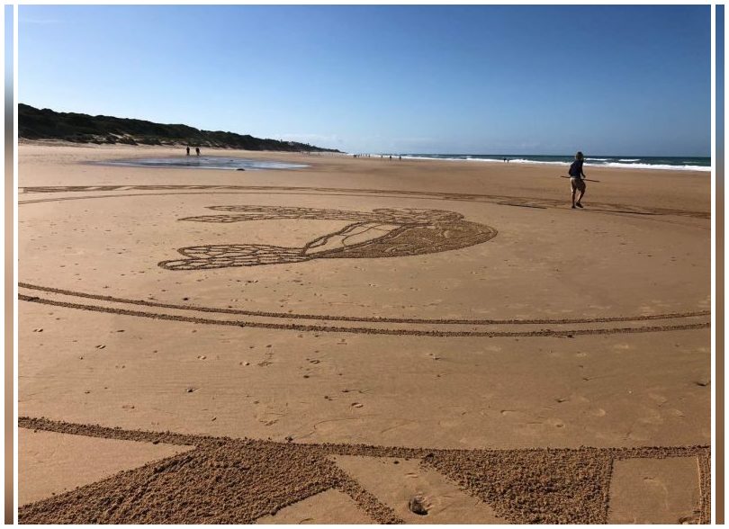 Dibujan en una playa de Cádiz una gigantesca tortuga para denunciar la contaminación por plásticos en océanos