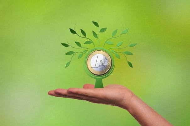 Los Proyectos Clima financiados por el Fondo de Carbono reducen en 10 millones de toneladas el CO2 en un lustro