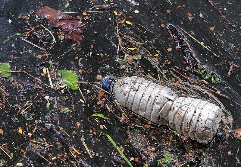 Programada una recogida de basura en el Corredor Ecológico del Alcarrache (Badajoz)