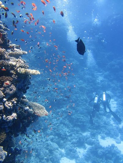 Encuentran residuos de plástico en una de las zonas oceánicas más inaccesibles de la Tierra 