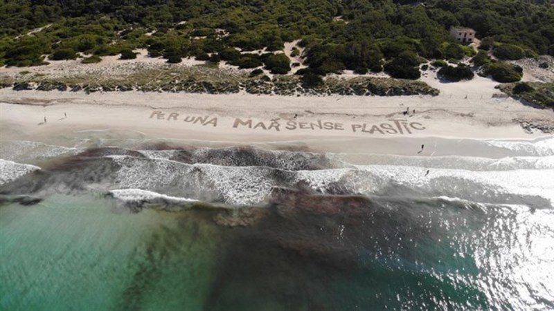 Piden "un mar sin plástico" en Ses Covetes (Mallorca) con motivo del Día Mundial de los Océanos