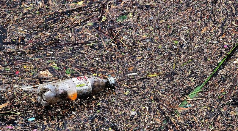 Nuevas normas de la UE para reducir la basura marina