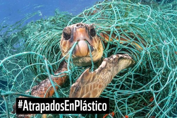 WWF solicita al Gobierno que prohíba la producción y consumo de plásticos innecesarios de un solo uso