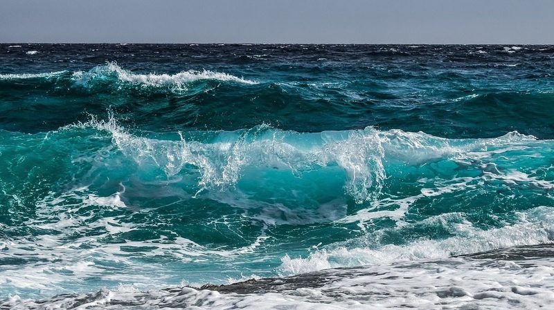 Oceanwise: la apuesta europea contra el EPS en aguas del Atlántico