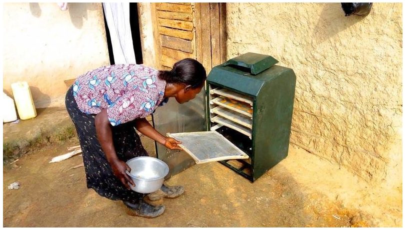 Sparky Dryer: la respuesta de dos jóvenes al problema de la comida desperdiciada en Uganda