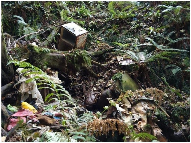 Denuncian el mal estado del cauce del río Libardón, en Asturias, por la presencia de residuos