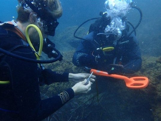 El proyecto “Plumbum” permite extraer del fondo marino más 500 kilos de plomos de pesca deportiva en Murcia