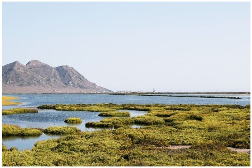 El Parque de Cabo de Gata (Almería) tendrá un plan contra las basuras marinas el próximo verano