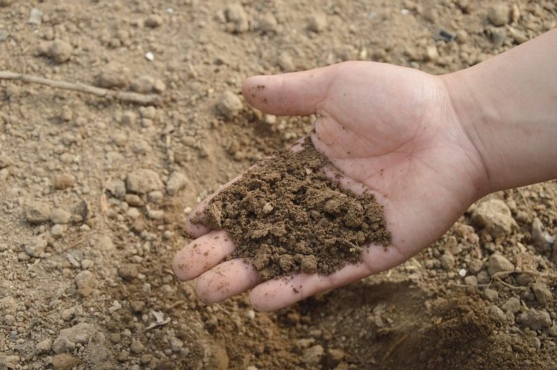 Milà (Menorca) rescatará más de la mitad de sus residuos para hacer compost y combustible