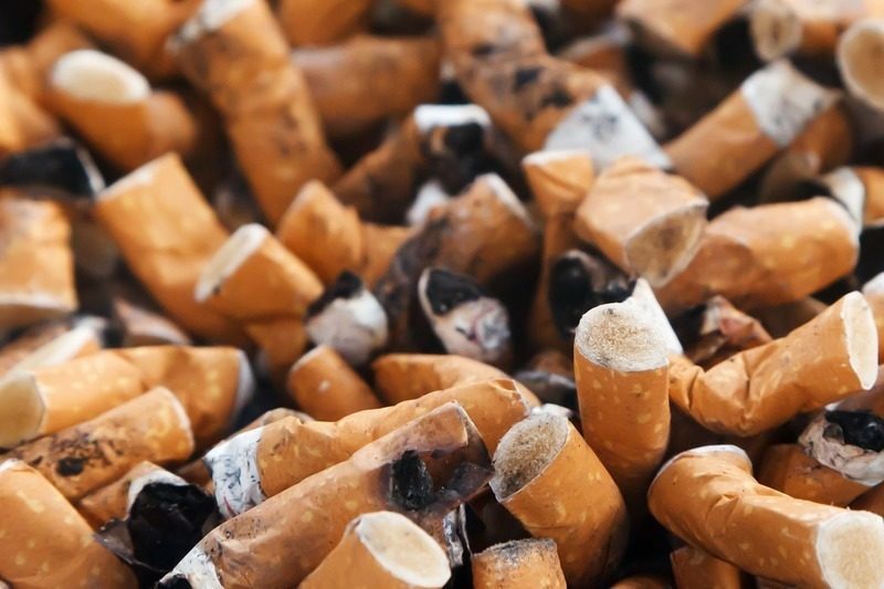 El tabaco no solo perjudica la salud, sino también el planeta