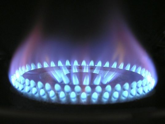 Nedgia reivindica en Tarragona el papel del gas renovable en la gestión de residuos