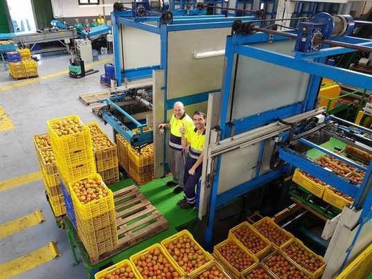 Una cooperativa hortofrutícola de Gran Canaria transformará sus residuos agrícolas en compost