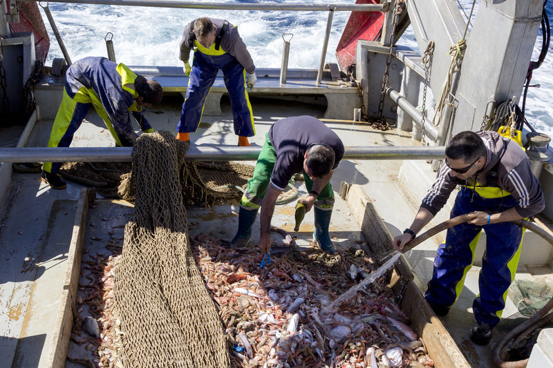 El proyecto RepescaPlas inicia su segunda anualidad buscando una nueva vida a los residuos recuperados del mar