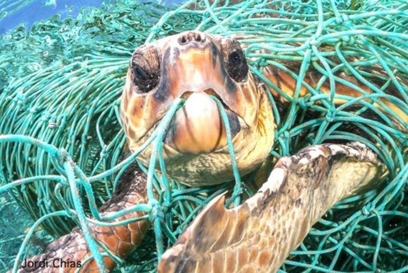 WWF pide un acuerdo global contra los plásticos para eliminar totalmente su vertido al mar en 2030