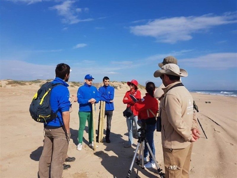 La Fundación Oceanogràfic participa en el estudio científico de la basura marina en El Saler (Valencia)