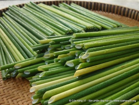 Pajitas vegetales, la alternativa al plástico que llega desde Vietnam