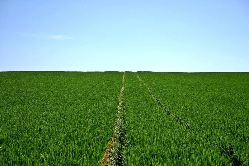 Jornada de SIGFITO en Madrid sobre el papel de la agricultura en la economía circular