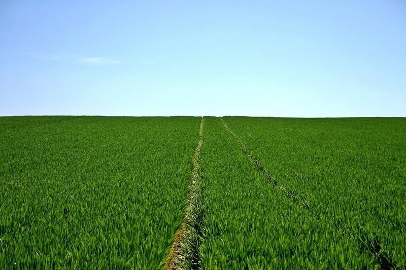 Jornada de SIGFITO en Madrid sobre el papel de la agricultura en la economía circular 