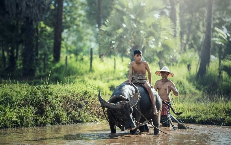 Un informe del Banco Mundial advierte de la contaminación del agua por nitratos y plásticos