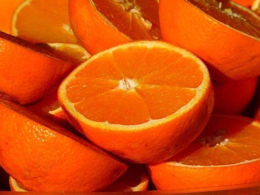 Un proyecto europeo investiga las posibilidades de transformación de los residuos de cítricos