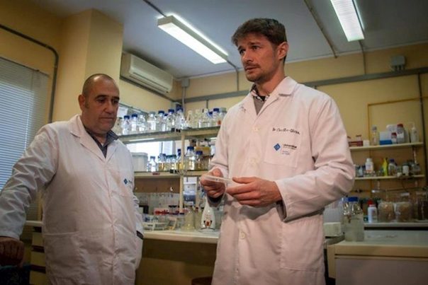 Los microbios marinos contribuyen a la biodegradación de aditivos plásticos, según un estudio