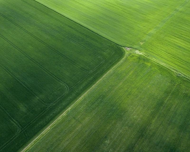 Lucha contra el cambio climático y fiscalidad verde, palancas para superar la crisis ecónómica del COVID-19