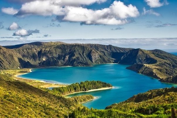 La UE lanza la Estrategia Europea de Biodiversidad